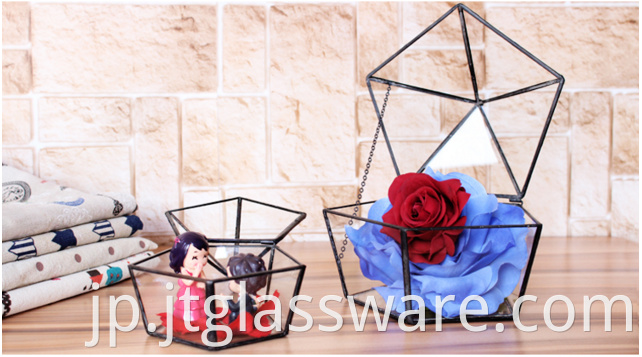 Geometric Glass Terrarium 